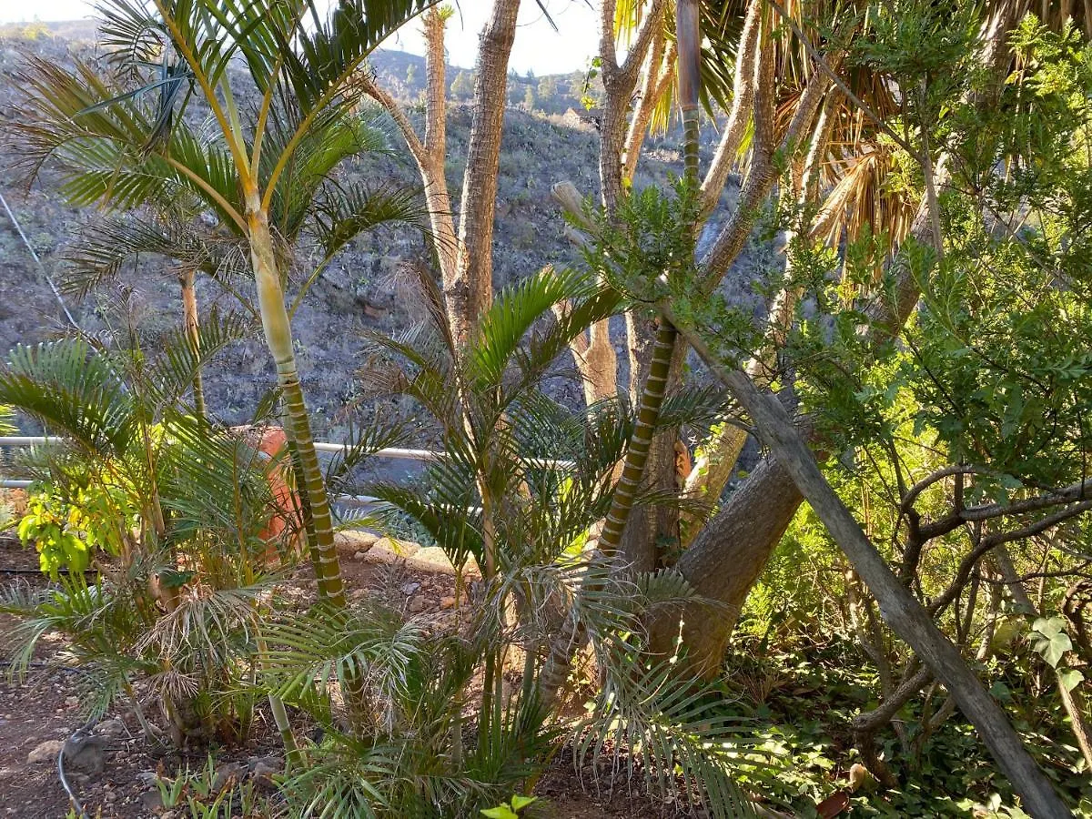 Casa Verde Guia de Isora  Guia de Isora (Tenerife)